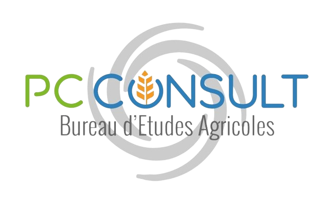 Logo PC Consult